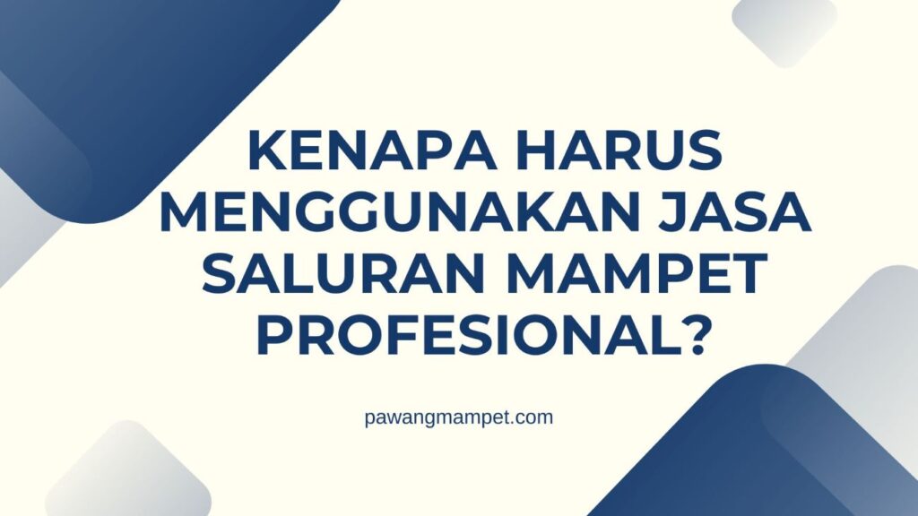 Kenapa Harus Menggunakan Jasa Saluran Mampet Profesional